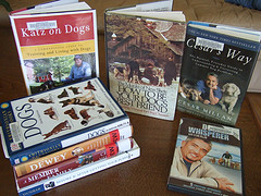 Dog Training Barking Collars 3682506947 9f4447d923 m Dog Training Barking Collars