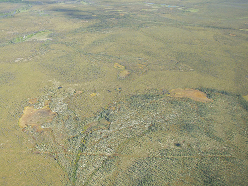 Iditarod 2010 ceremonial start 4803475679 fd3c37f681 Iditarod 2010 ceremonial start