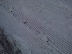 Husky Dog The Perfect Companion 5408119661 a9e6bf0f8b m Husky Dog The Perfect Companion