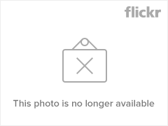 Why do you think dog sledding is cruel and wrong? 5551498749 9c452b9ba6 m Why do you think dog sledding is cruel and wrong?