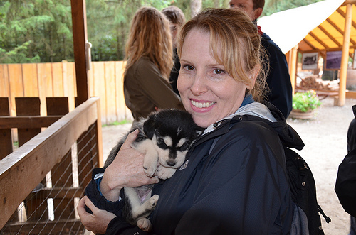 Cool Dog Sledding images 6125892804 faf4935daa Cool Dog Sledding images