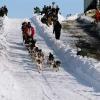 2007_iditarod_aliy_zirkle_16