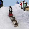 2007_iditarod_allen_moore_71