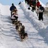 2007_iditarod_deedee_jonrowe_27