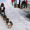2007_iditarod_frank_sihler_73