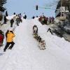 2007_iditarod_gb_jones_82