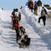2007_iditarod_richard_hum_25