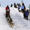 2007_iditarod_robert_bundtzen_64