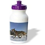 Krista Funk Creations Sled Dogs Yukon Quest Sled Dogs on the Takhini River Water Bottles Reviews 21hfWtQkMiL. SL160 Krista Funk Creations Sled Dogs Yukon Quest Sled Dogs on the Takhini River Water Bottles Reviews