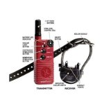 Tri Tronics Sport Junior G3 Training Collar 41Cp0V7pzsL. SL160 Tri Tronics Sport Junior G3 Training Collar