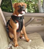 Solvit 62296 Pet Vehicle Safety Harness, Large 510GjRjwNqL. SL160 Solvit 62296 Pet Vehicle Safety Harness, Large