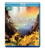 Battle for Life Online.