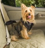 Solvit 62294 Pet Vehicle Safety Harness, Small 51W52N8aPaL. SL160 Solvit 62294 Pet Vehicle Safety Harness, Small