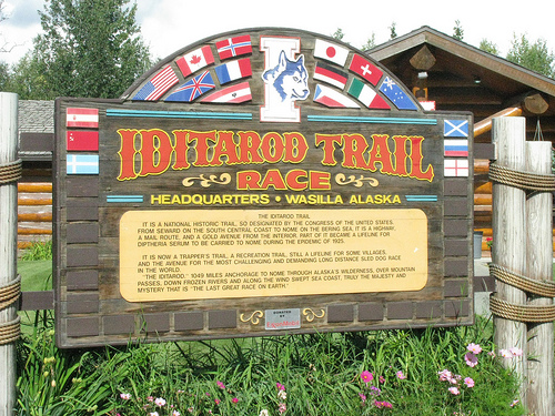 3943947640 1b8c8cf0f1 Iditarod 2011