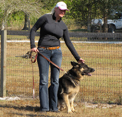 3225099023 fc8e89a616 m A Few Dog Training Success Tips You Need to Know
