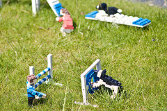 3559913477 b776804519 m Sit Stay Fetch Dog Training Ebook   Review