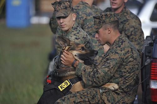 A Marine embraces his military working dog 5221660702 b468d009f6 A Marine embraces his military working dog