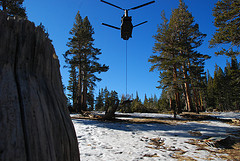 6662618797 cb2d197f26 m Q&A: How do I train my dog to attack on command?