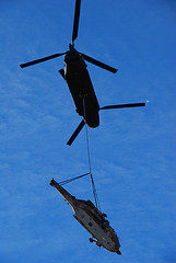 6662609317 192920464b m Can you train your dog to pick up his own poop?