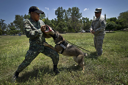 A Marine embraces his military working dog 7111002063 9414fccc55 A Marine embraces his military working dog