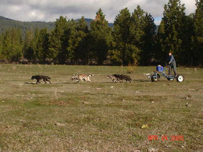 training at hobart mills