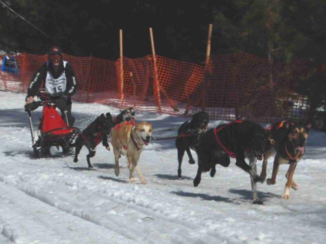 chester_2007_don_cadwell_2