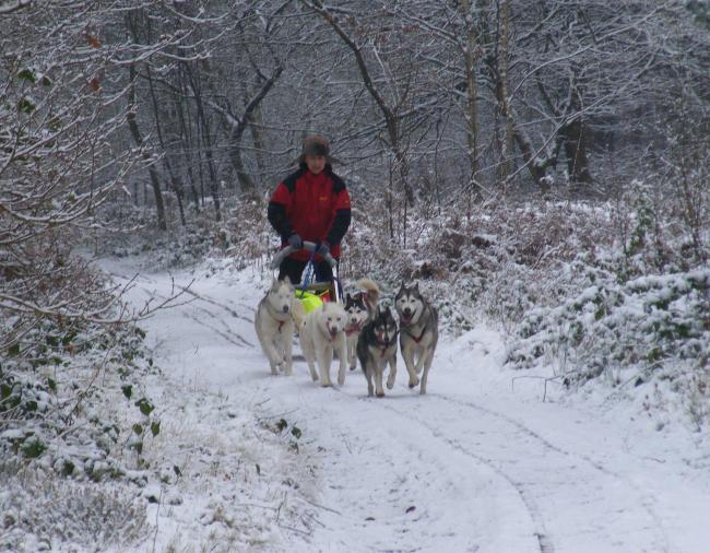 2009_0205training0006