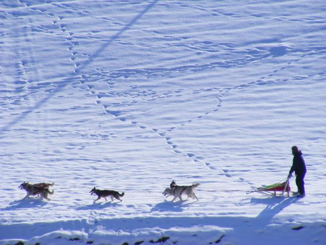 2009_0210training0013