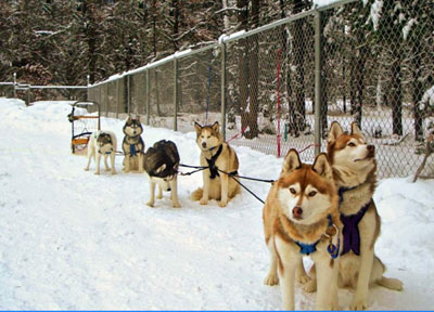 jan_Waiting_for_a_Command