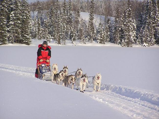 kipp_lopin on spjutvattnet lake