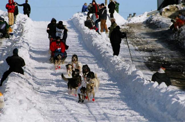 2007_iditarod_ben_stamm_15