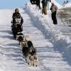 2007_iditarod_bruce_linton_23