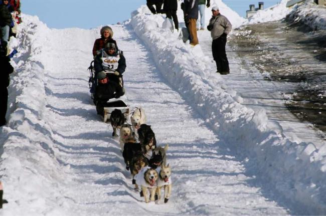 2007_iditarod_bruce_linton_23