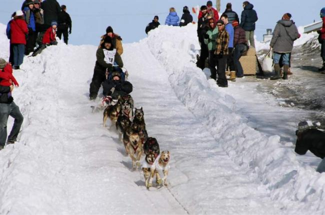 2007_iditarod_bruce_milne_70