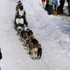 2007_iditarod_bryan_mills_74