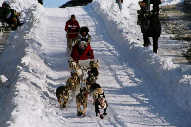 2007_iditarod_cim_smyth_4