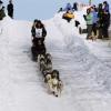 2007_iditarod_dallas_seavey_66