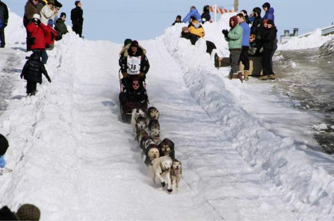 2007_iditarod_dallas_seavey_66