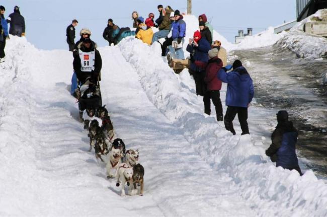 2007_iditarod_dan_carter_60