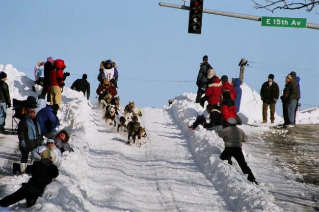 2007_iditarod_dan_huttunen_29