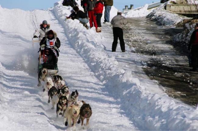 2007_iditarod_dave_tresino_32