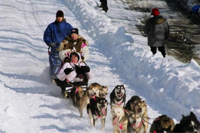 2007_iditarod_deedee_jonrowe_27_number2