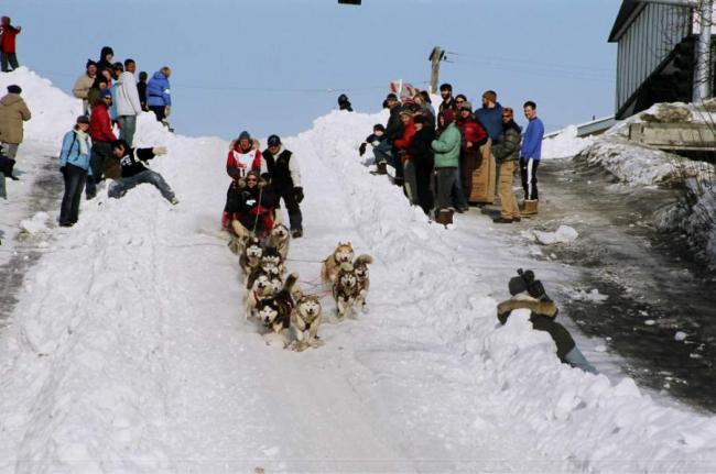 2007_iditarod_donald_smidt_81