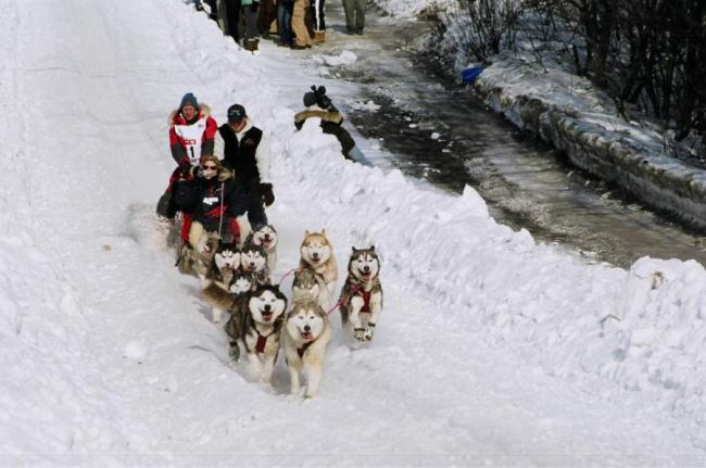 2007_iditarod_donald_smidt_81_number2