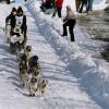 2007_iditarod_ed_iten_30