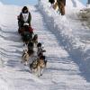 2007_iditarod_eric_rogers_21