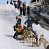 2007_iditarod_jeff_holt_65_number2