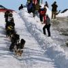 2007_iditarod_jeff_king_31
