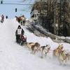 2007_iditarod_jeremy_keller_83