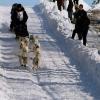 2007_iditarod_jim_lanier_9
